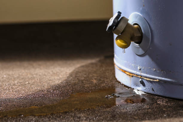 Best Flood damage cleanup  in Hurricane, UT