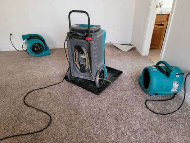 Best Mold removal after water damage  in Hurricane, UT