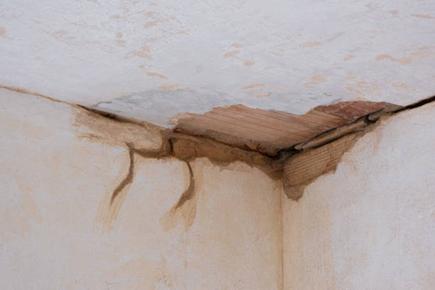 Best Water damage restoration services  in Hurricane, UT