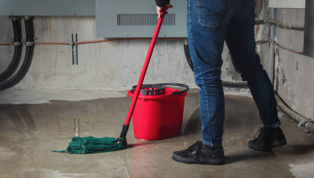 Best Basement water damage restoration  in Hurricane, UT