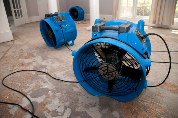 Best Local water damage restoration  in Hurricane, UT