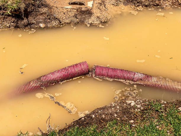 Local water damage restoration in UT