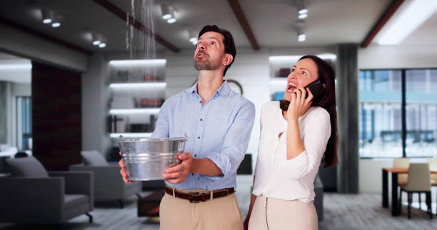 Best Carpet water damage restoration  in Hurricane, UT